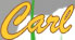 T3 DG Carl